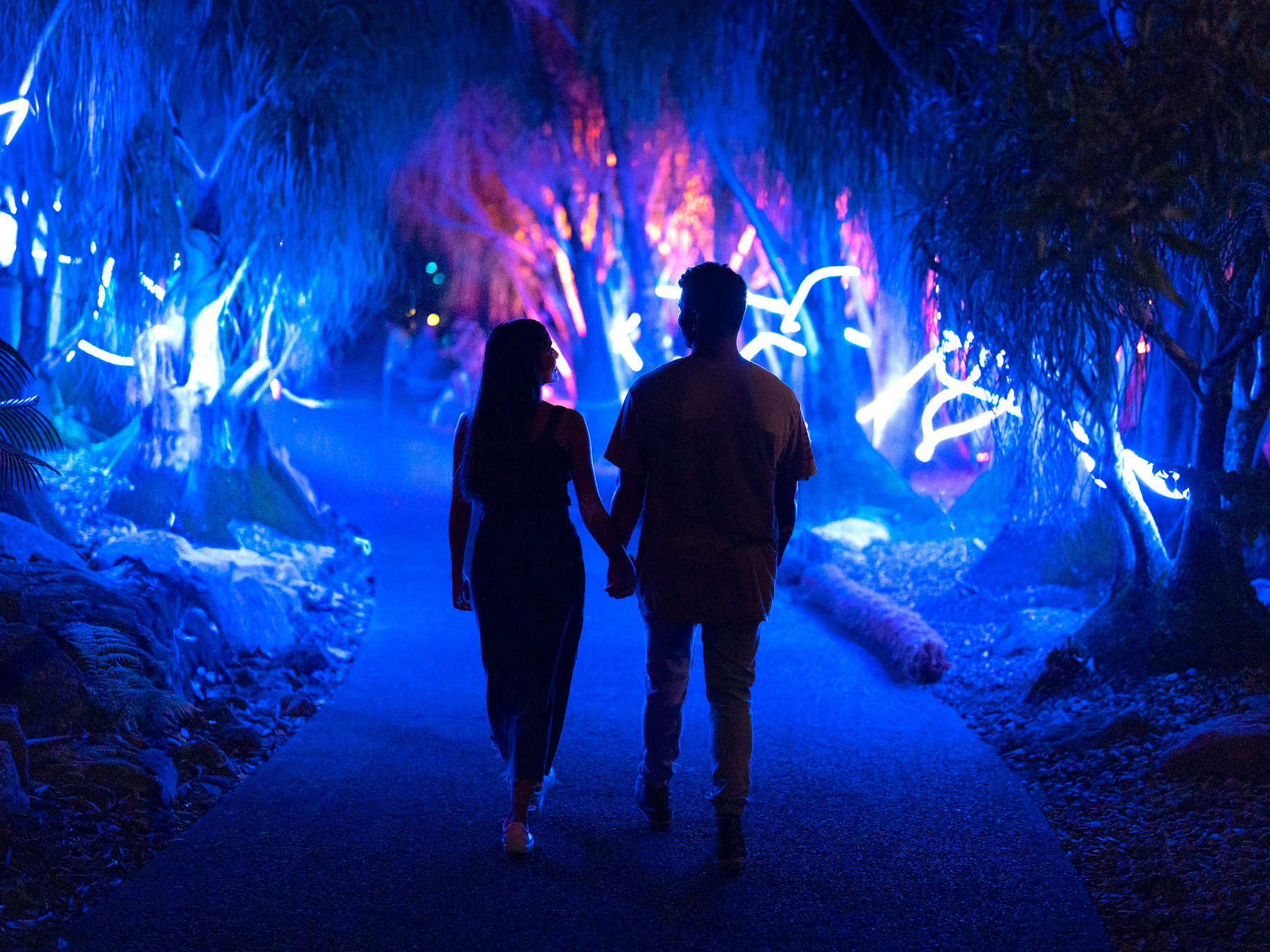 Sillouette of a couple walking along a pathway at night with blue lights winding through mature ponytail palms