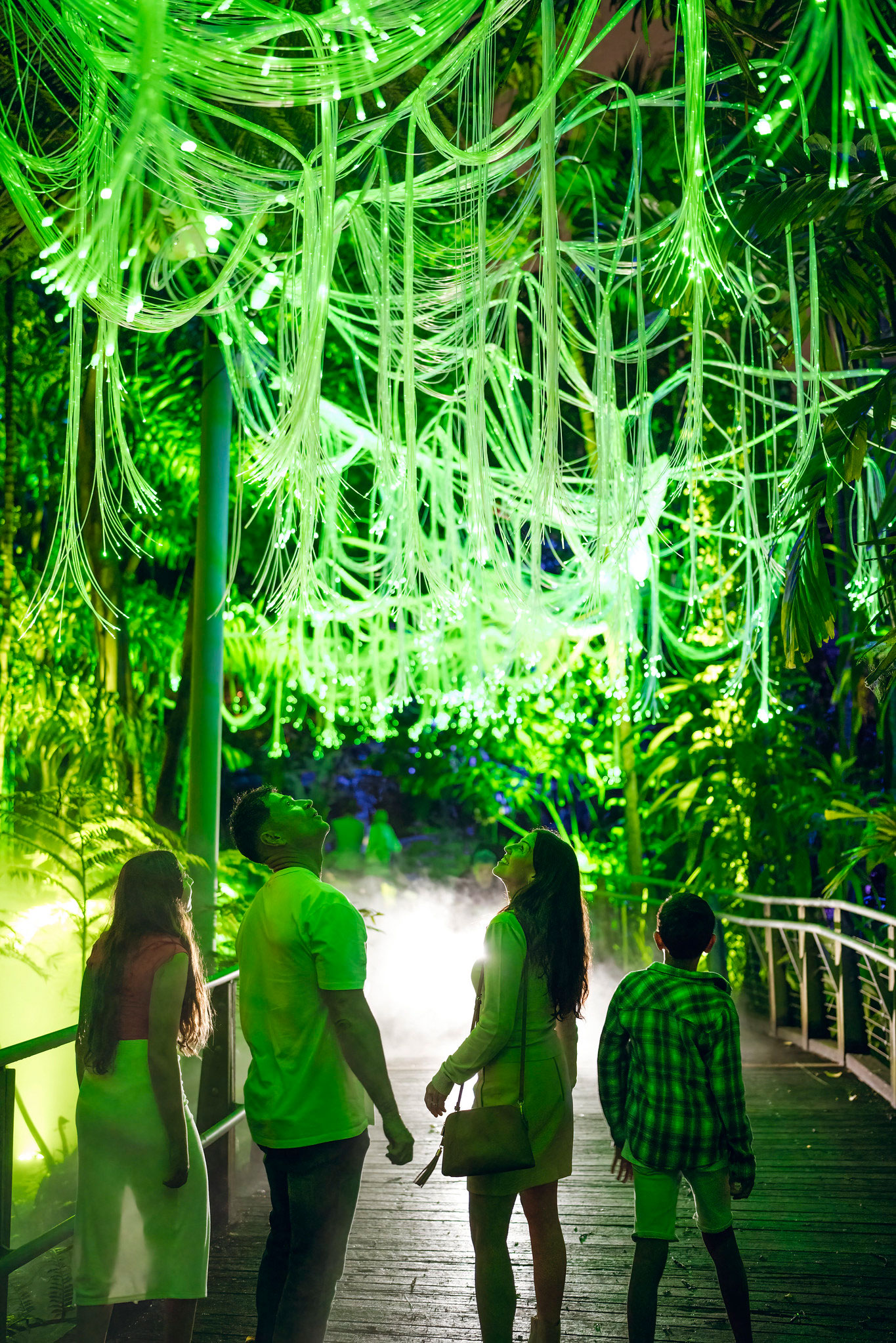 Family of four people walking along a pathway in a rainforest under fluro yellow long ribbons