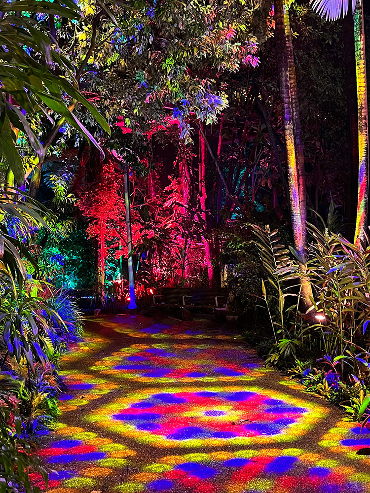 Rainforest pathway light with colourful light projection and coloured lights on the trees