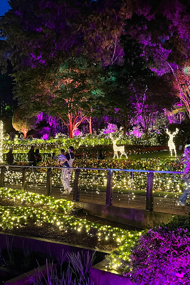 Spectacle Garden lit with fairy lights and colouted lights and reindeer shapes in the background