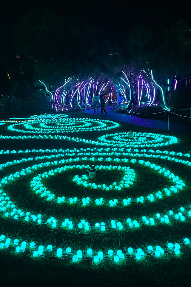 Light turquoise lights set in swirl patterns with fairy houses in the middle and pony tail palms lit in the background