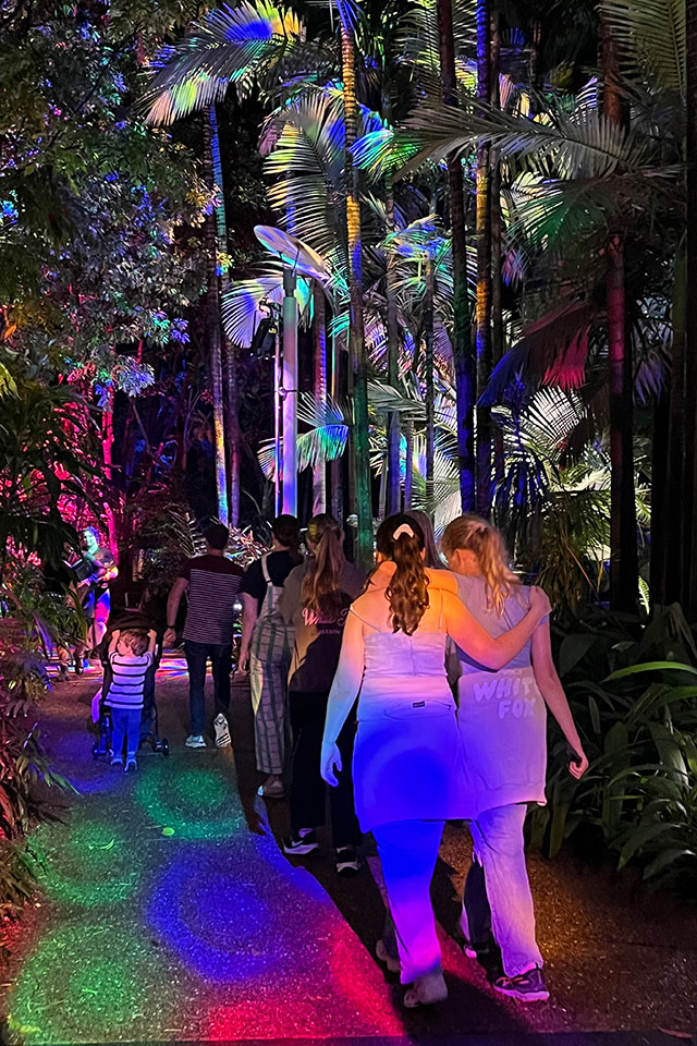 Children and families walking through the rainforest lit with colourful lights in the palm trees and on the pathway