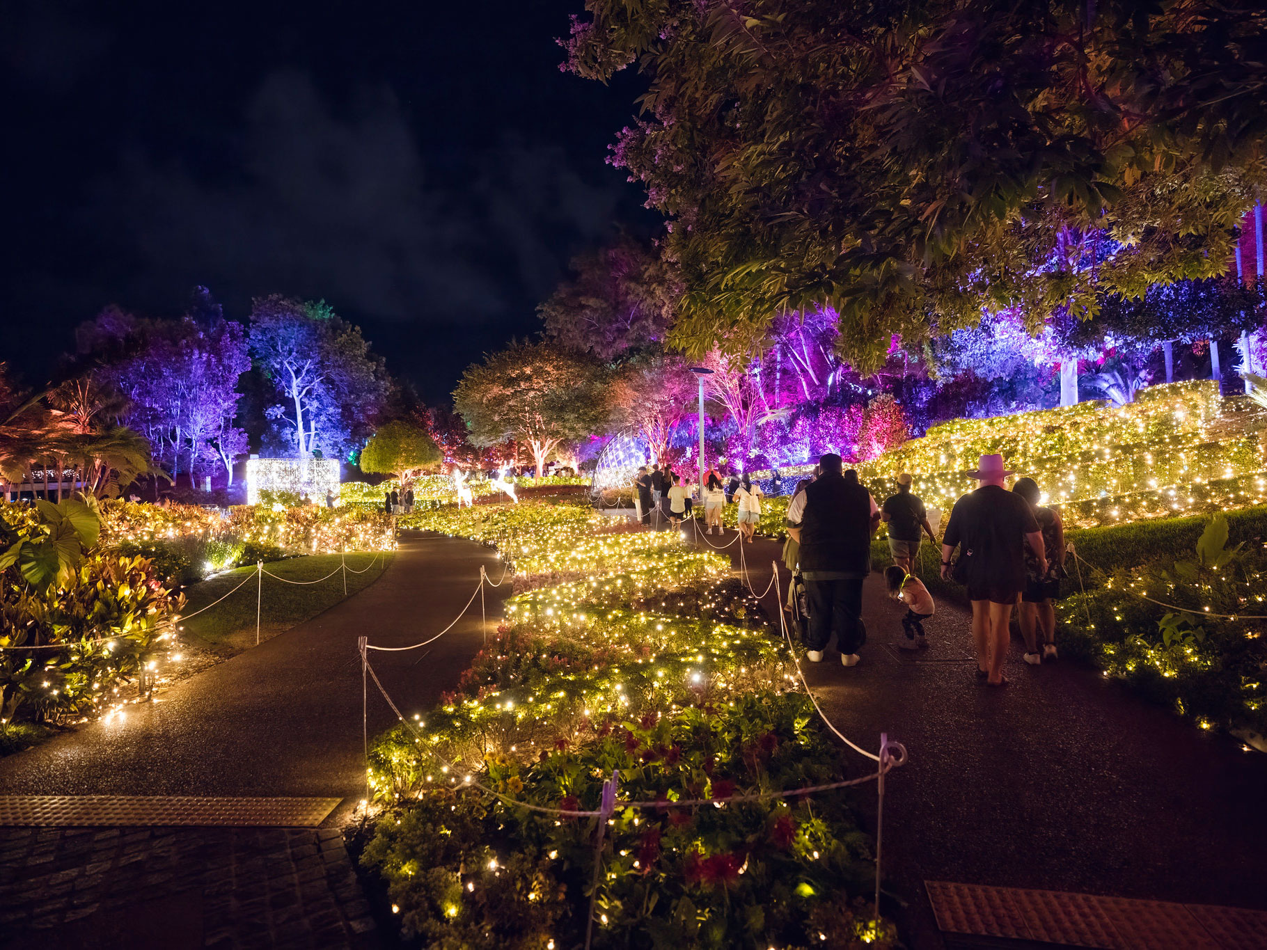The Spectacle Garden lit with covered in fairy lights and coloued lighting
