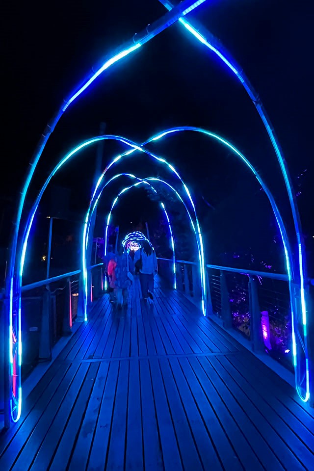 Coloured light tubes arched over a walk way