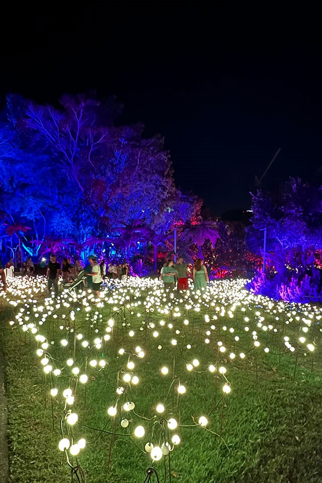 A green lawn covered in many tall standing large bulbs of light with trees in the background uplit with coloured lights