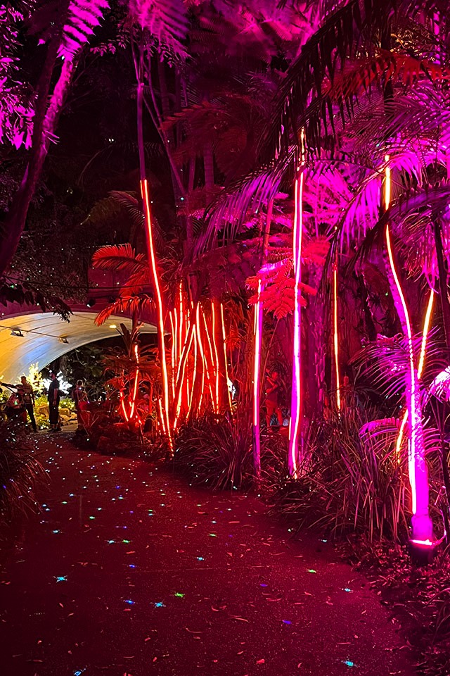 Palm trees with strands of coloured lights framing the tree trunks