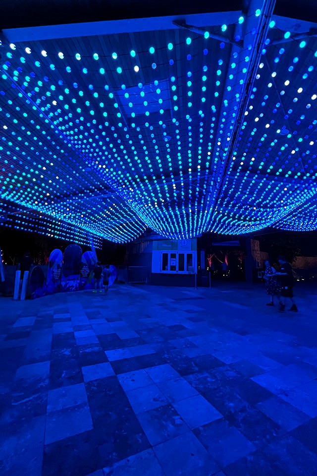 Overhead sheets of colured lights draped