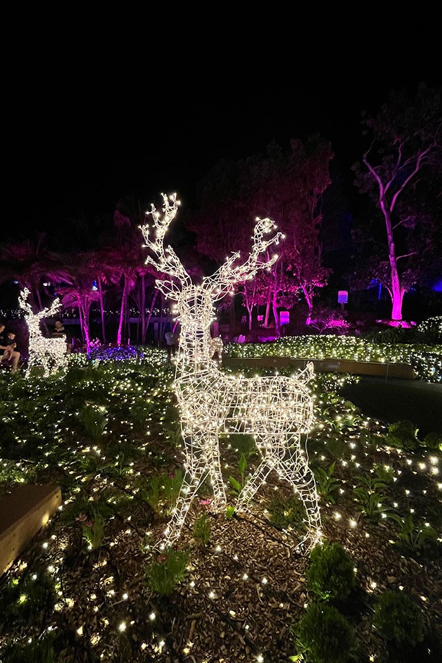 A frame covered in fairy lights chaped like a reindeer in a garden bed covered in fairy lights