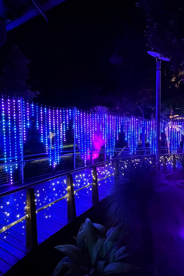 Sparkling lights hanging from a framed structure along a spiral bridge