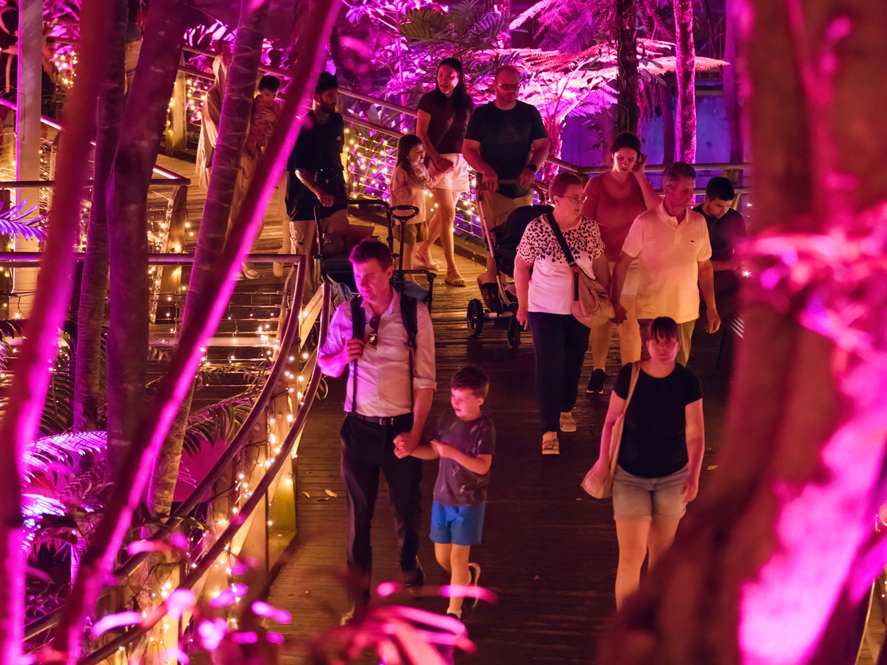 Families walking through the Rainforest lit with colourful lights for The Enchanted Garden at Roma Street Parkland